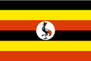 Editing & Proofreading in Uganda